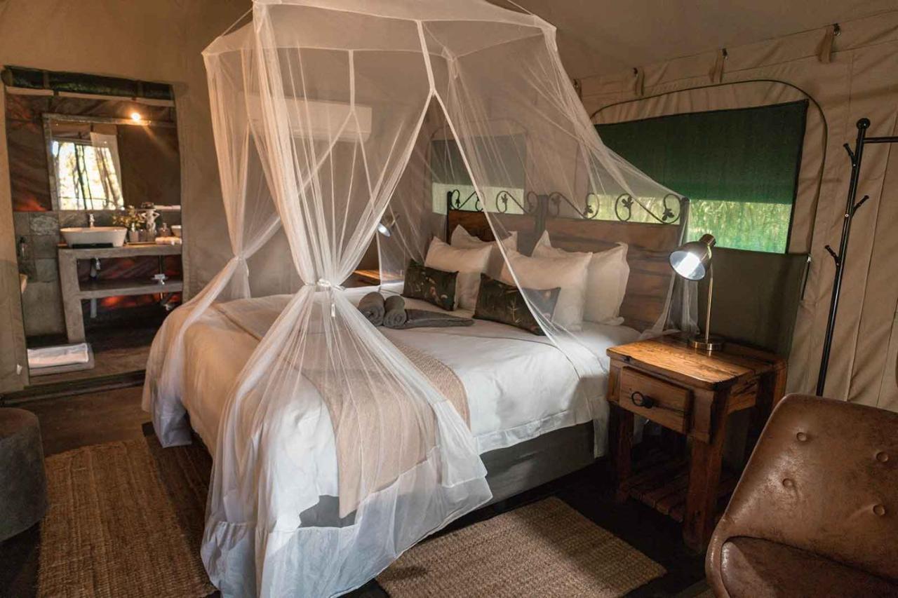 Umkumbe Bush Lodge - Luxury Tented Camp サビ・サンド動物保護区 エクステリア 写真