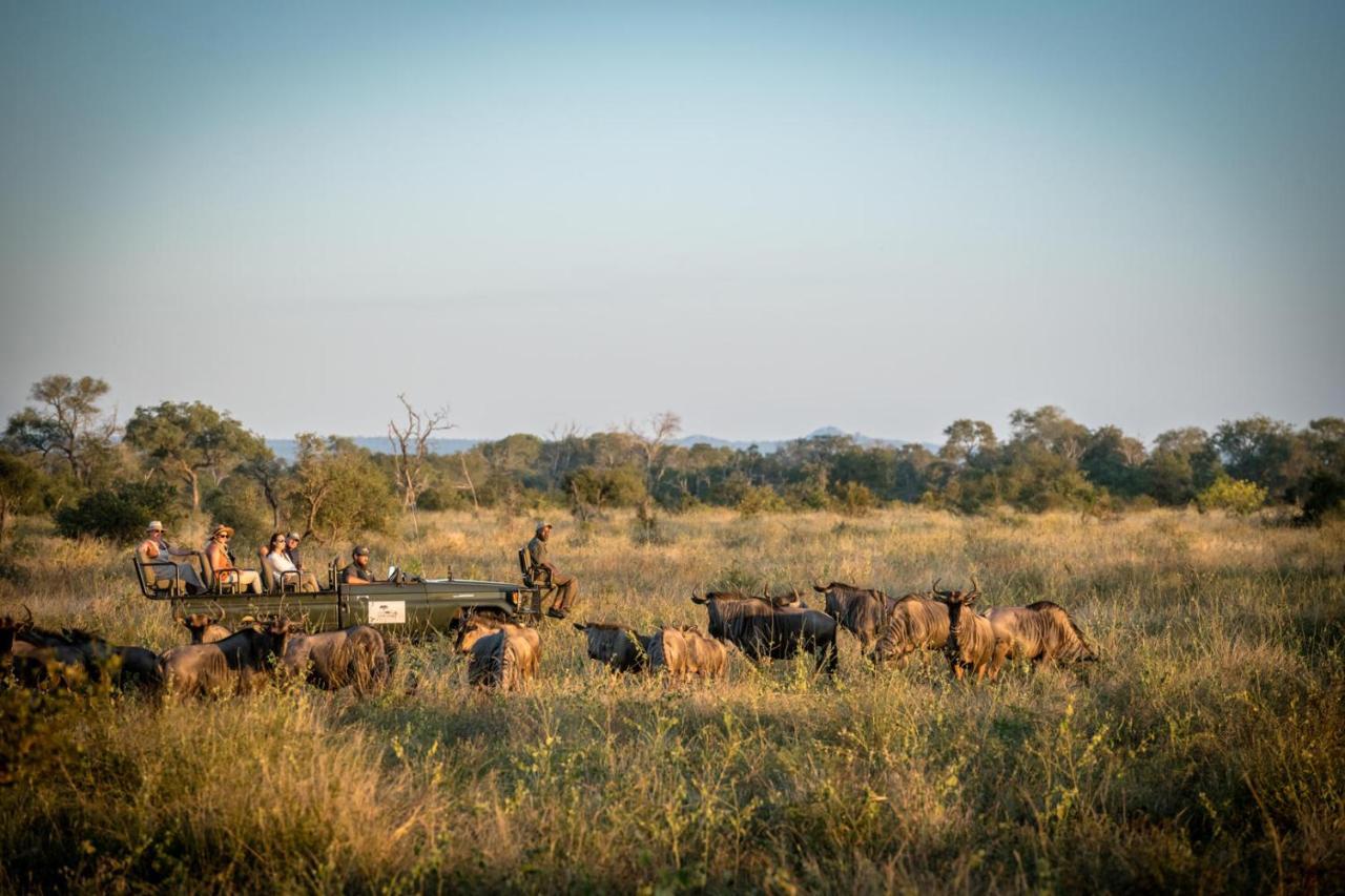 Umkumbe Bush Lodge - Luxury Tented Camp サビ・サンド動物保護区 エクステリア 写真