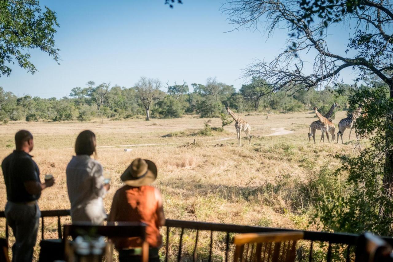 Umkumbe Bush Lodge - Luxury Tented Camp サビ・サンド動物保護区 エクステリア 写真