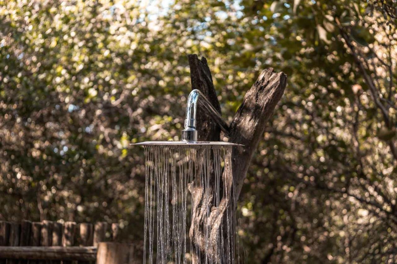Umkumbe Bush Lodge - Luxury Tented Camp サビ・サンド動物保護区 エクステリア 写真